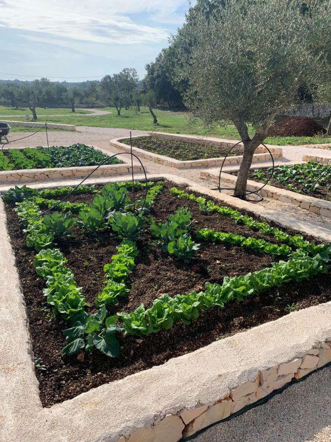 Villa Moresca Dei Trulli Fernando Остуни Екстериор снимка