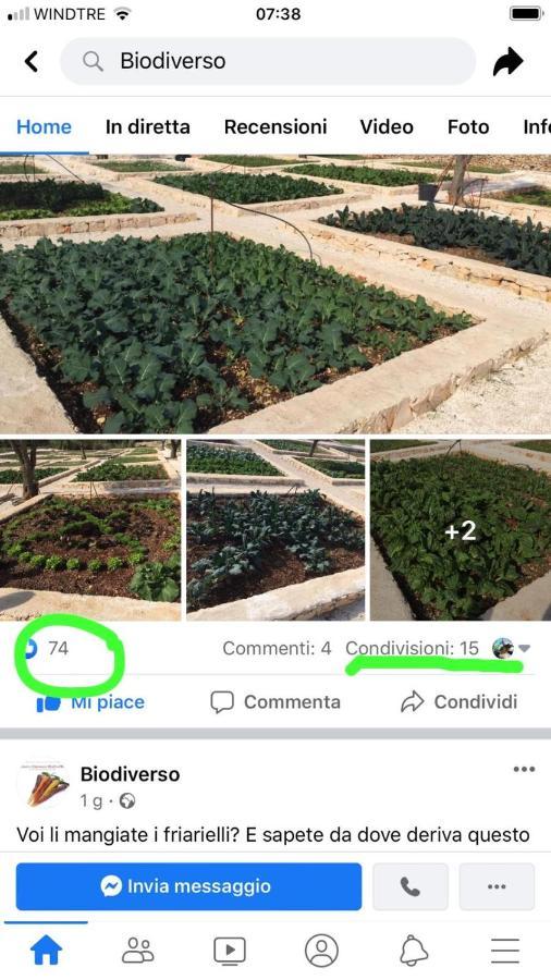 Villa Moresca Dei Trulli Fernando Остуни Екстериор снимка