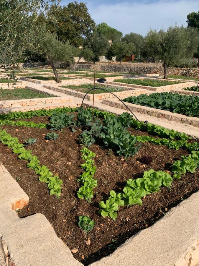 Villa Moresca Dei Trulli Fernando Остуни Екстериор снимка